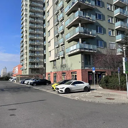 Near The Old Bridge *