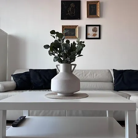 Near The Old Bridge Bratislava